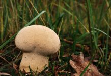 Jak pozbyć się worków pod oczami domowe sposoby?