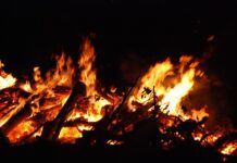 Czy pole magnetyczne szkodzi tarczycy?