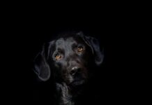 Co ile tygodni hybryda na stopach?