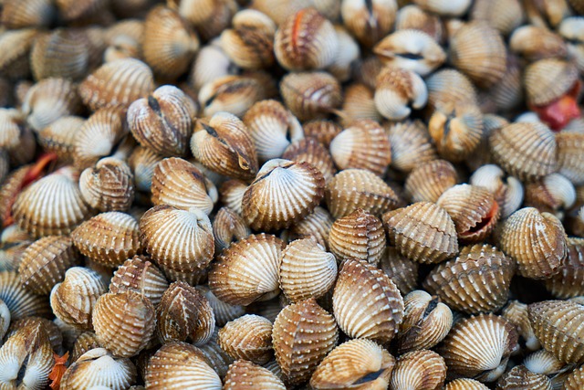 Czy łuszczycą swędzi? Czy łuszczycą swędzi?