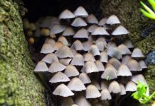 Co najbardziej podkręca metabolizm?