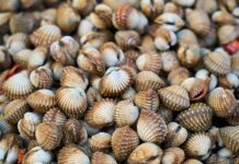 Jak sprawdzić czy to łuszczyca?