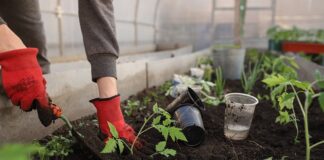 W jakiej cenie są łóżka rehabilitacyjne?