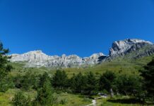 Jak pozbyć się garba?