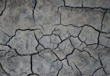 Co na popękane dłonie domowe sposoby? Co na popękane dłonie domowe sposoby?