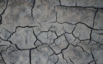 Co na popękane dłonie domowe sposoby?