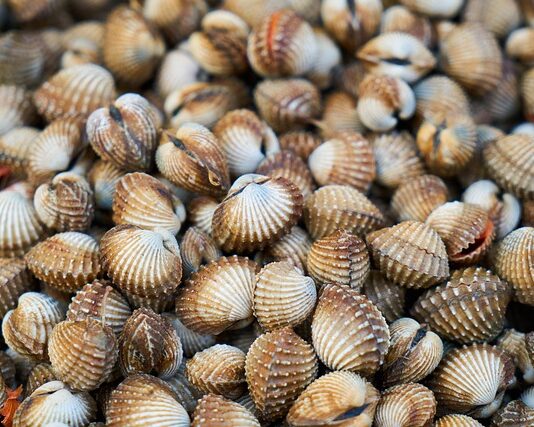 Jak wygląda łuszczyca na stopach?