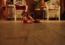 W czym najlepiej wymoczyć pięty?