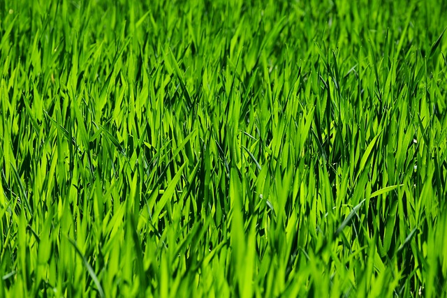 Co warto kupić w Rossmanie pielęgnacja? Co warto kupić w Rossmanie pielęgnacja?