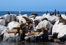 Co zrobić żeby się nie garbić?